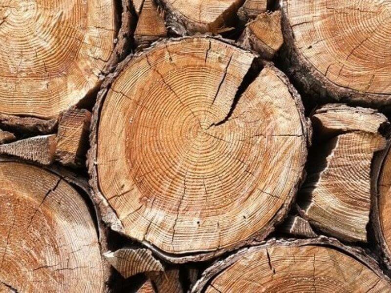 Các nhóm gỗ Việt Nam phân loại theo tiêu chuẩn hiện hành 13 Bảng phân loại nhóm gỗ theo tiêu chuẩn Việt Nam