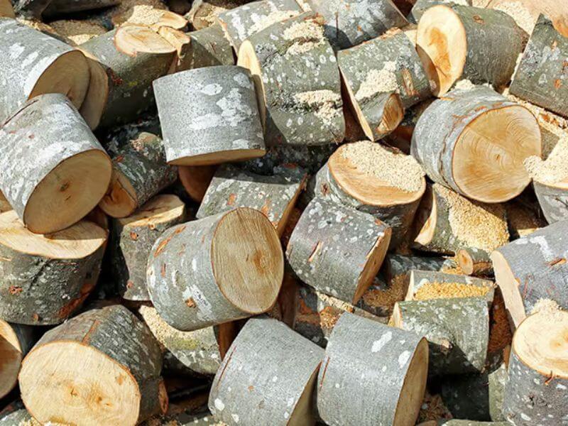Các nhóm gỗ Việt Nam phân loại theo tiêu chuẩn hiện hành 20 Đặc điểm nhận diện và ứng dụng của nhóm gỗ VII