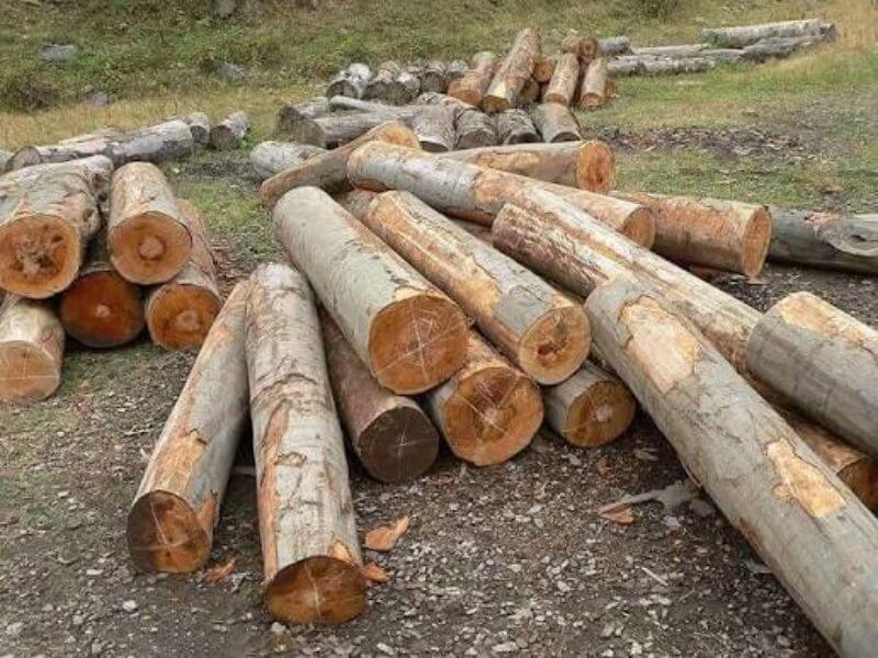 Các nhóm gỗ Việt Nam phân loại theo tiêu chuẩn hiện hành 15 Đặc tính của nhóm gỗ thứ II