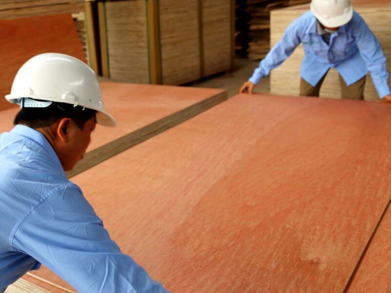 Gỗ plywood là gì? Thông tin chi tiết về đặc điểm và ứng dụng 23 Quy trình công nghệ sản xuất Plywood